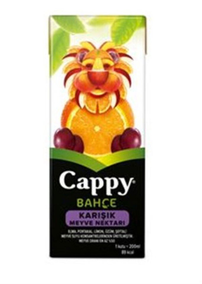 CAPPY MEYVE SUYU 200 ML-KARIŞIK (TETRA)