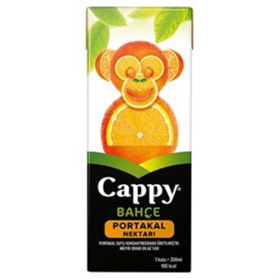 CAPPY MEYVE SUYU 200 ML-PORTAKAL (TETRA)