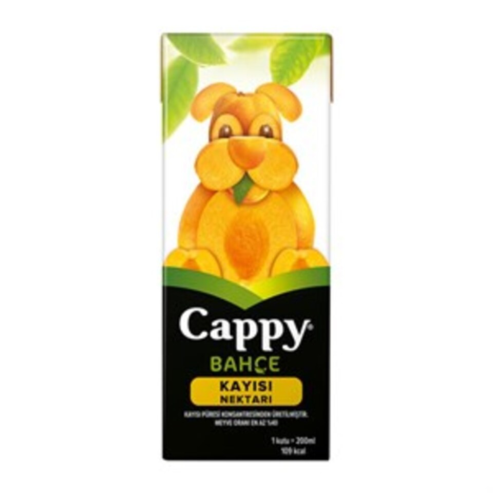 CAPPY MEYVE SUYU 200 ML-KAYISI (TETRA)