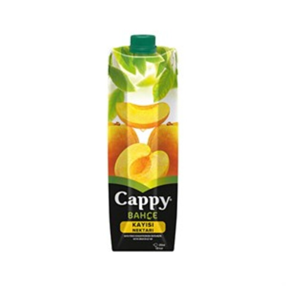 CAPPY MEYVE SUYU 1LT-KAYISI (TETRA)