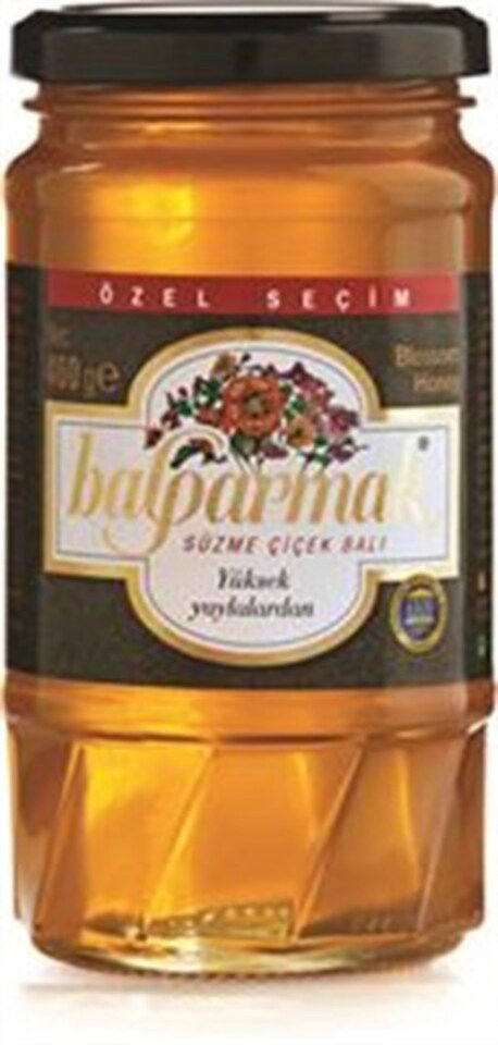 BALPARMAK YÜKSEK YAYLA ÇİÇEK BALI 460 GR