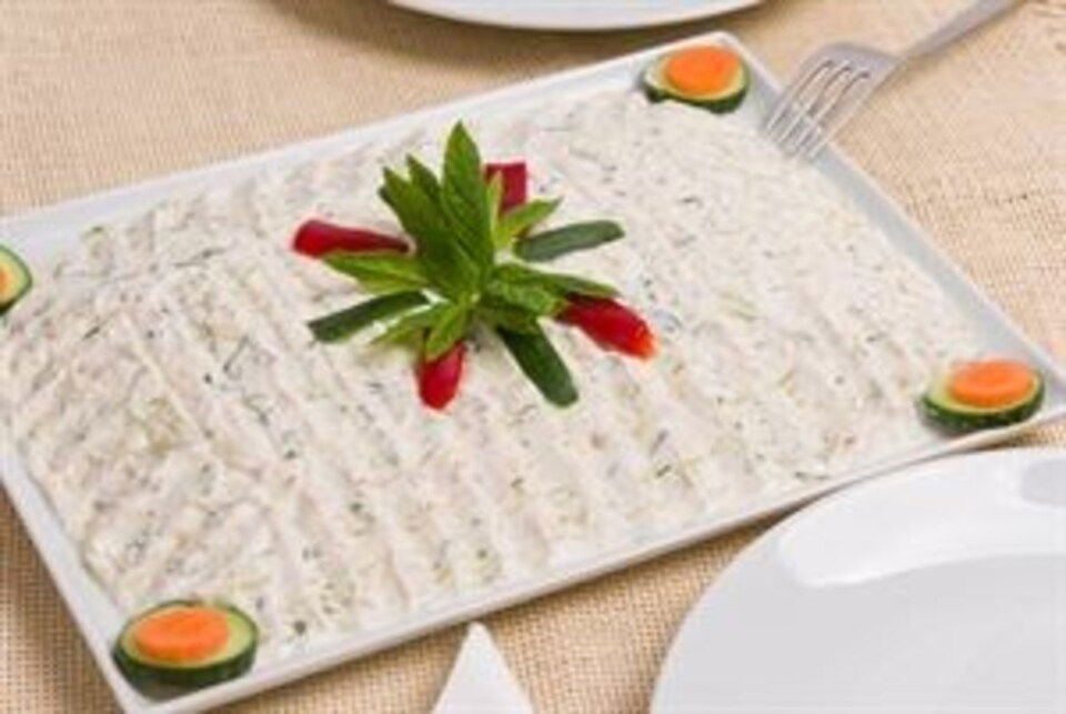 MEZE-MAROTTİ KG.