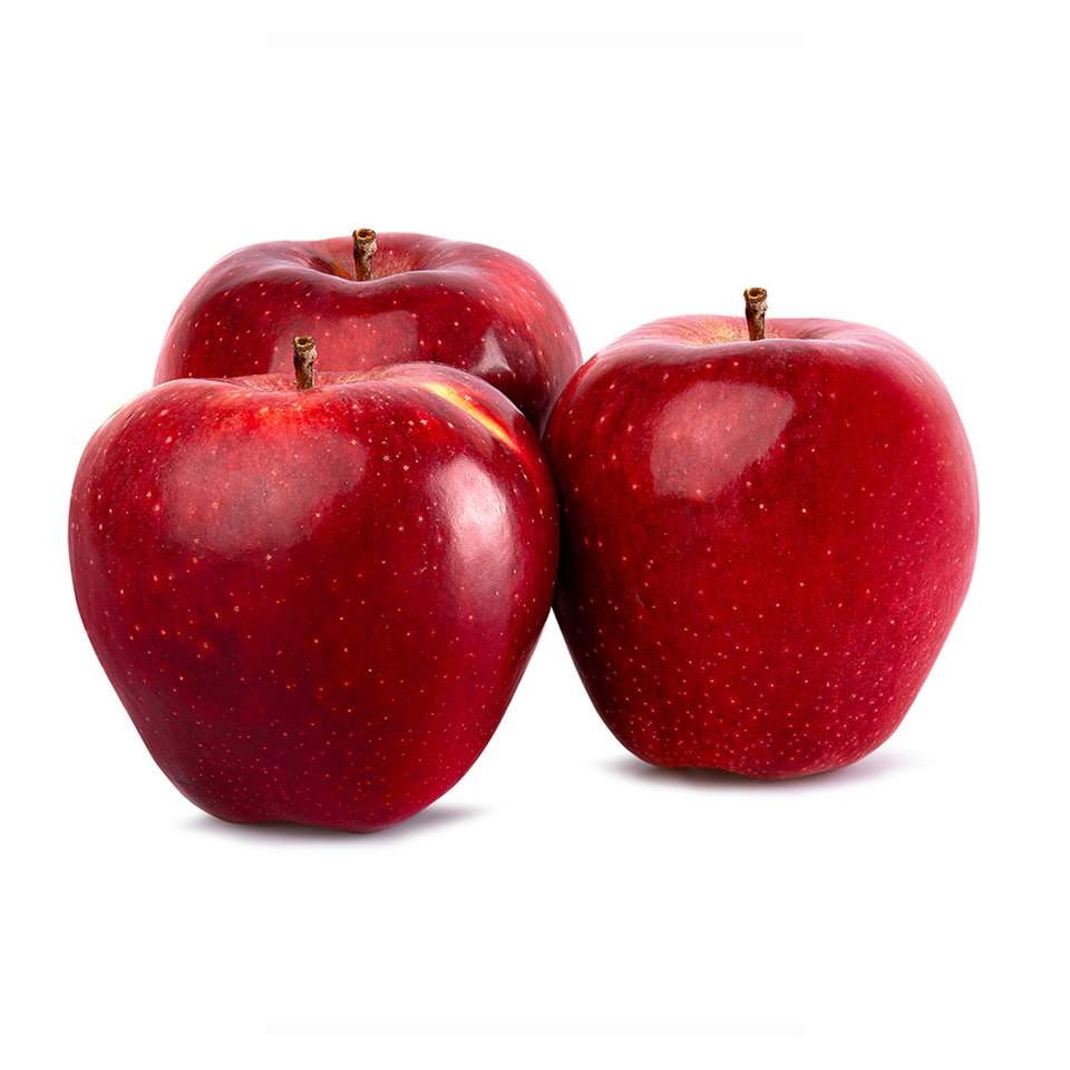 ELMA İTHAL STARKİNG KG