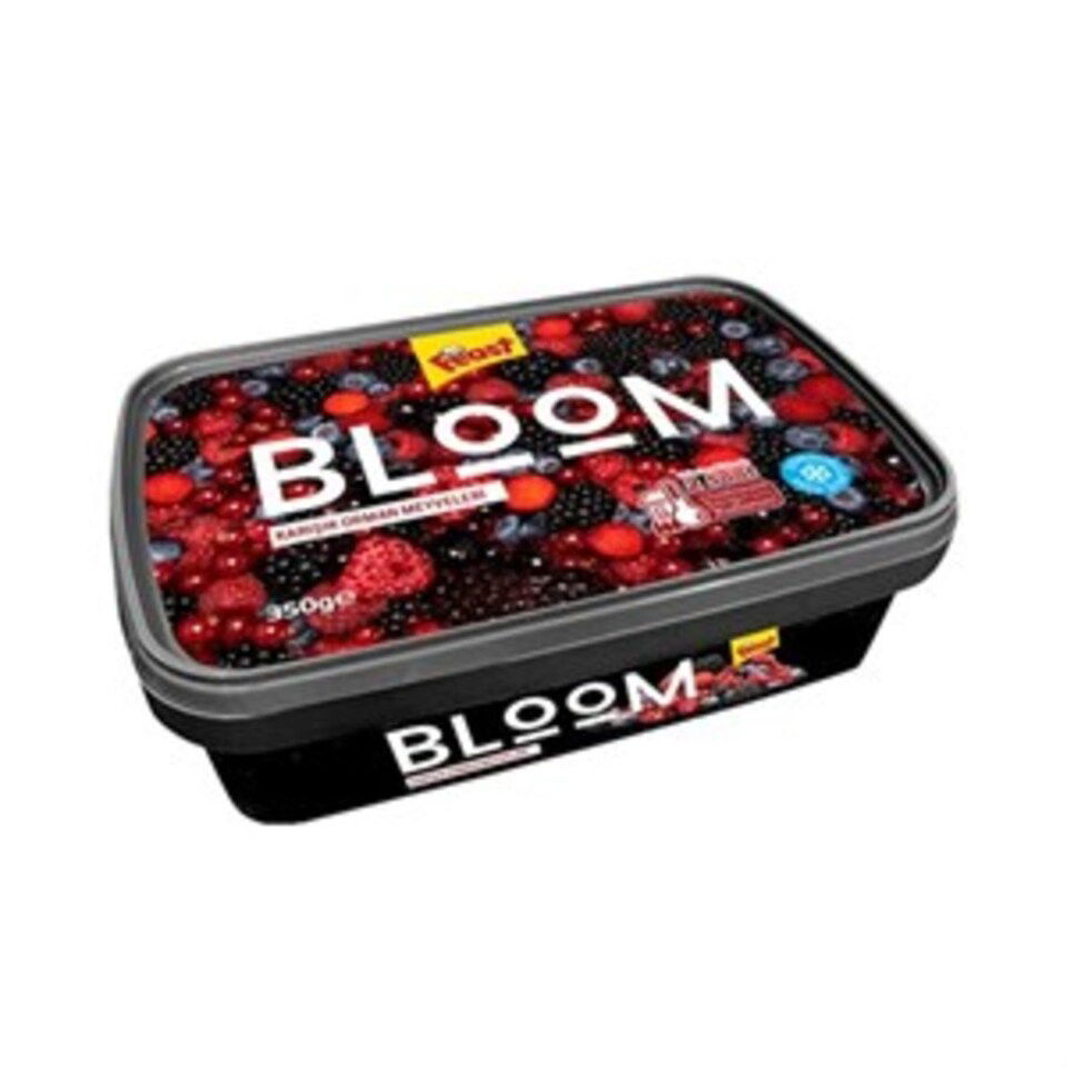 FEAST KARIŞIK ORMAN MEYVELERİ 350 GR