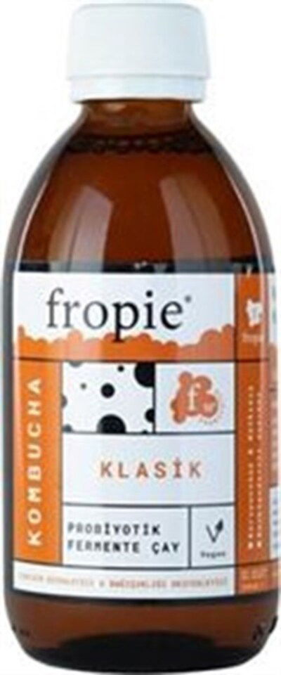 FROPİE KOMBUCHA 250 ML - KLASİK