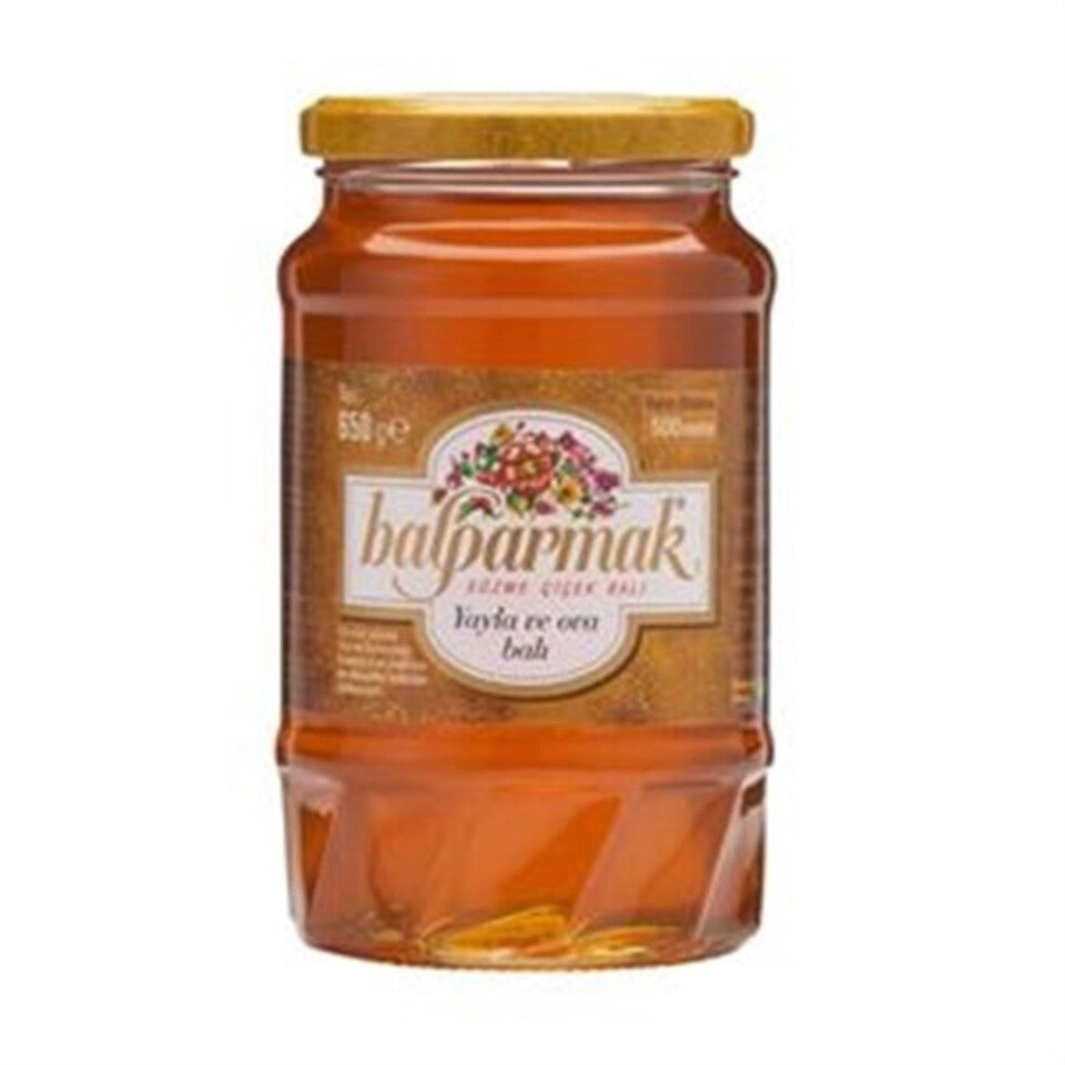 BALPARMAK YAYLA VE OVA ÇİÇEK BALI 650 GR.