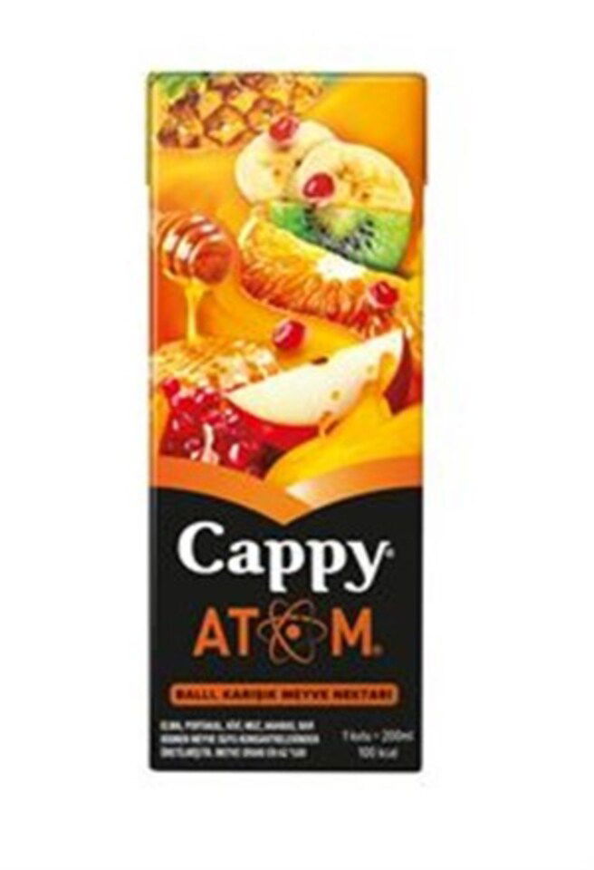 CAPPY MEYVE SUYU 200 ML-ATOM (TETRA)