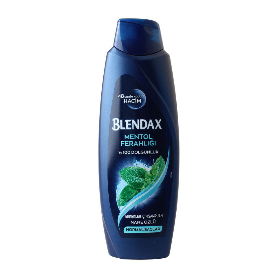 BLENDAX ŞAMPUAN.500 ML-MENTOL MEN