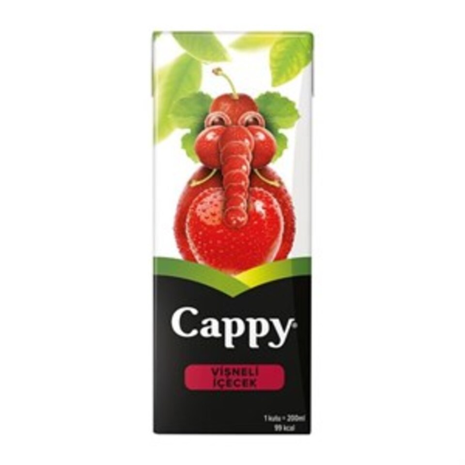 CAPPY MEYVE SUYU 200 ML-VİŞNE (TETRA)