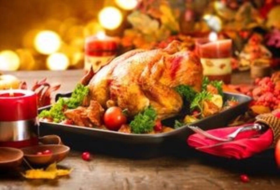 KANDIRA HİNDİSİ KG