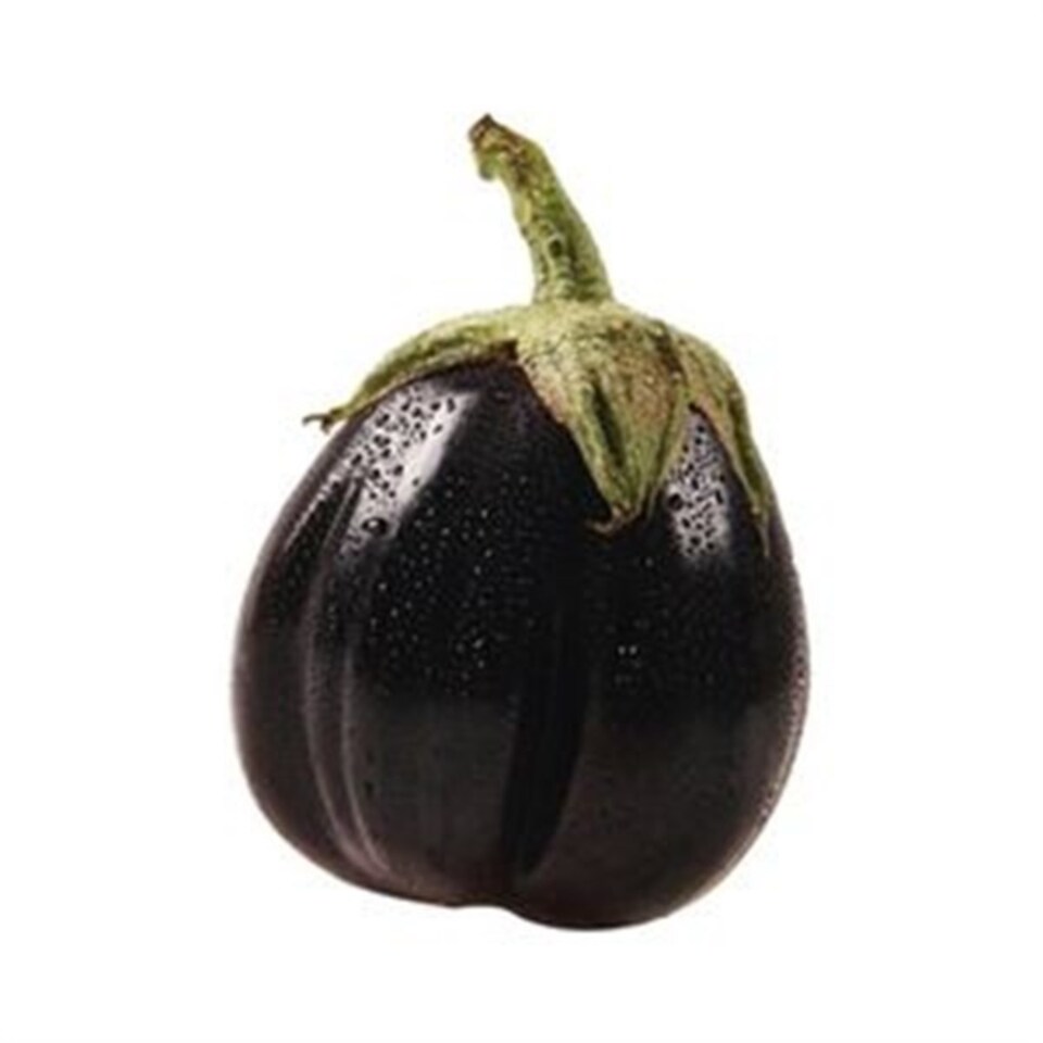 PATLICAN-BOSTAN PATLICAN KG.