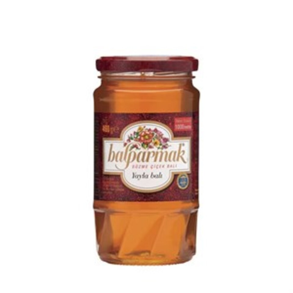 BALPARMAK ÇİÇEK BALI 460 GR