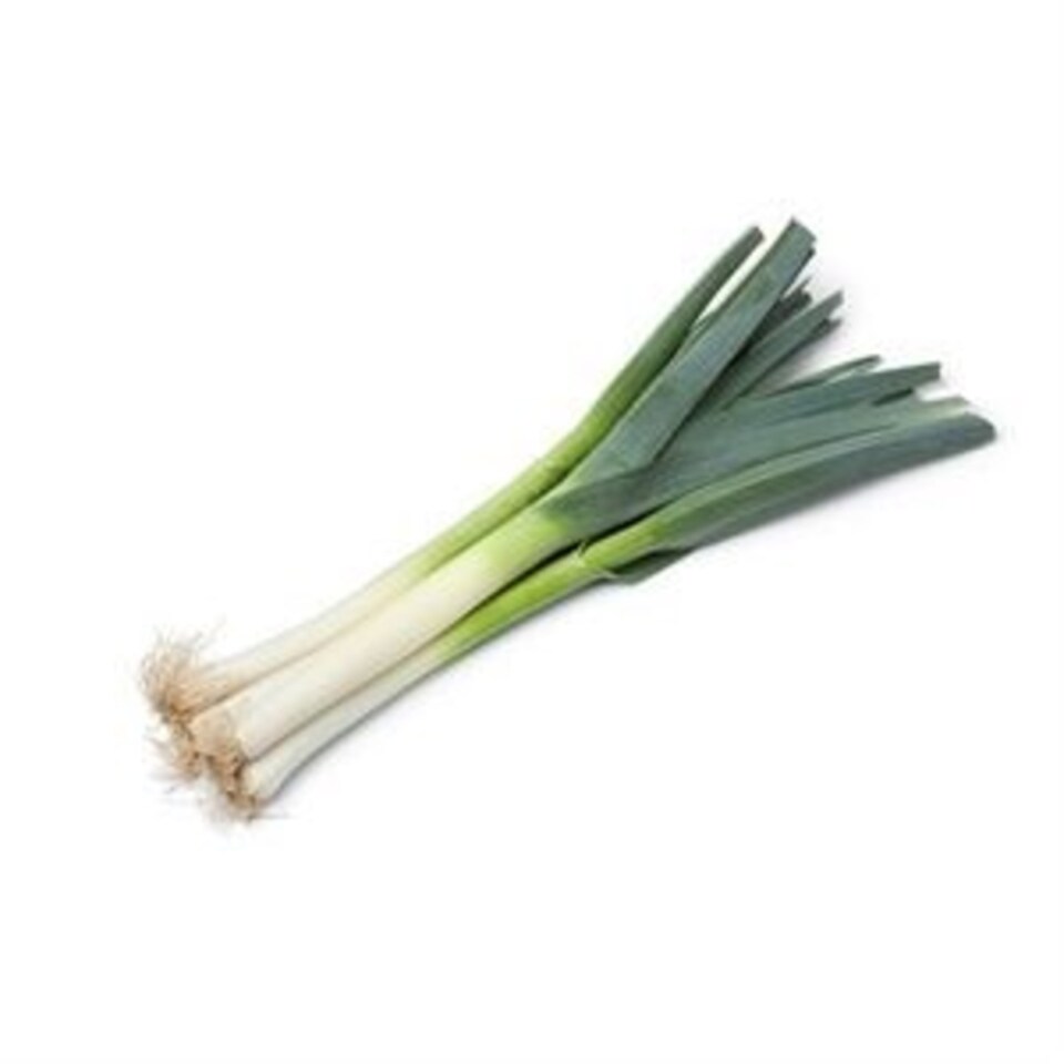 PIRASA KG