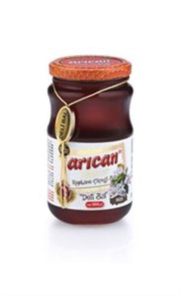 ARICAN ORGANİK KESTANE BALI 500 GR X