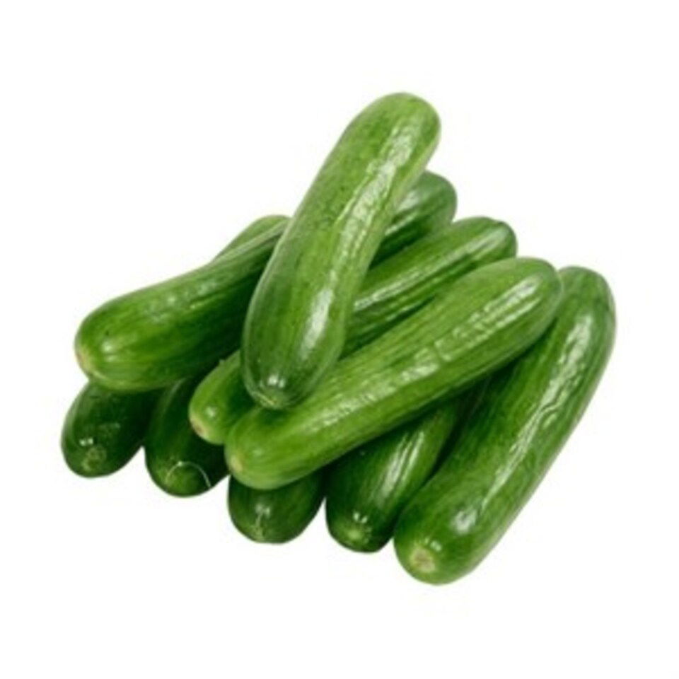 SALATALIK KG.