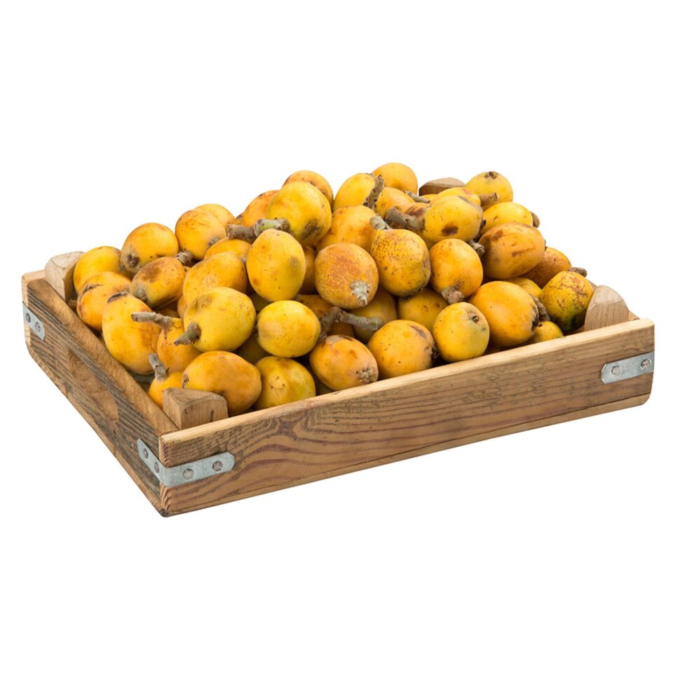 ERİK-MALTA ERİĞİ KG.