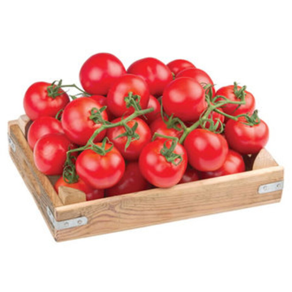 DOMATES SALKIM LÜX  KG.