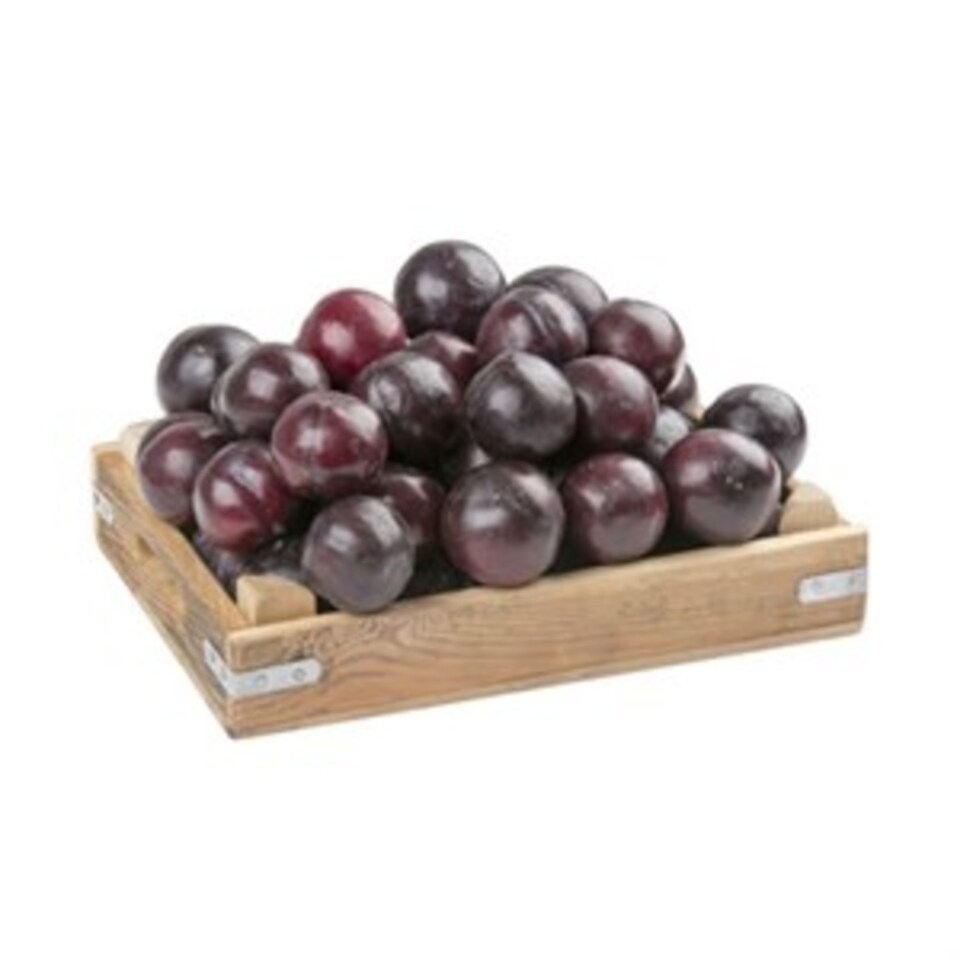 ERİK ANJELİKA KG