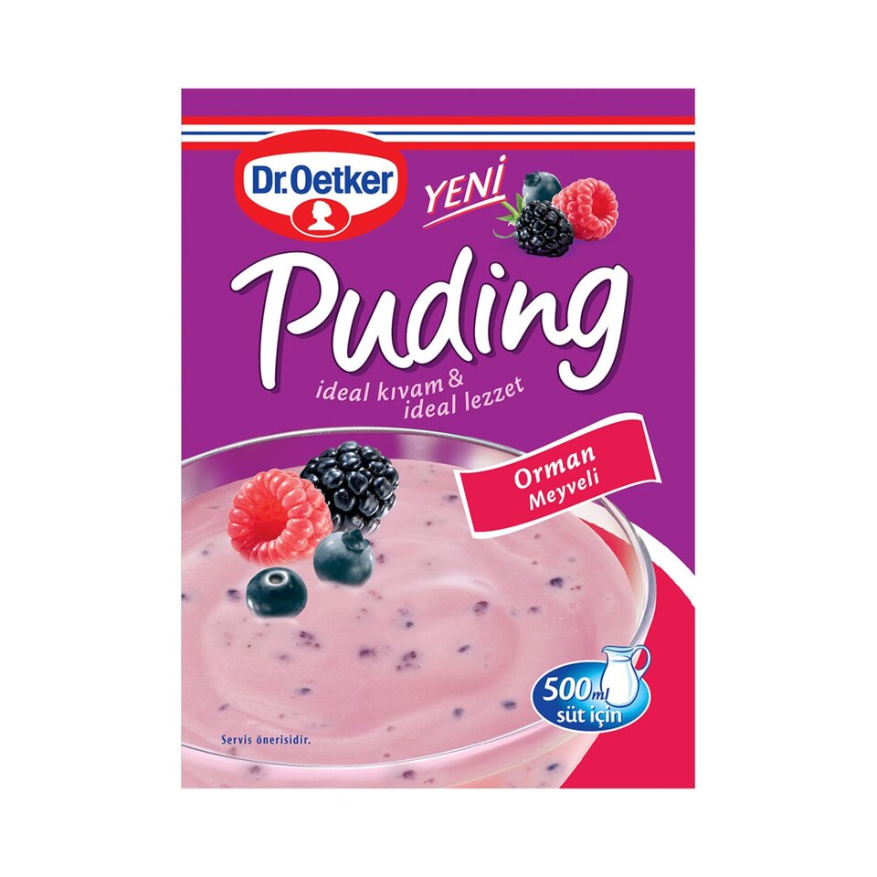 DR.OETKER PUDİNG 81 GR.-ORMAN MEYVELİ