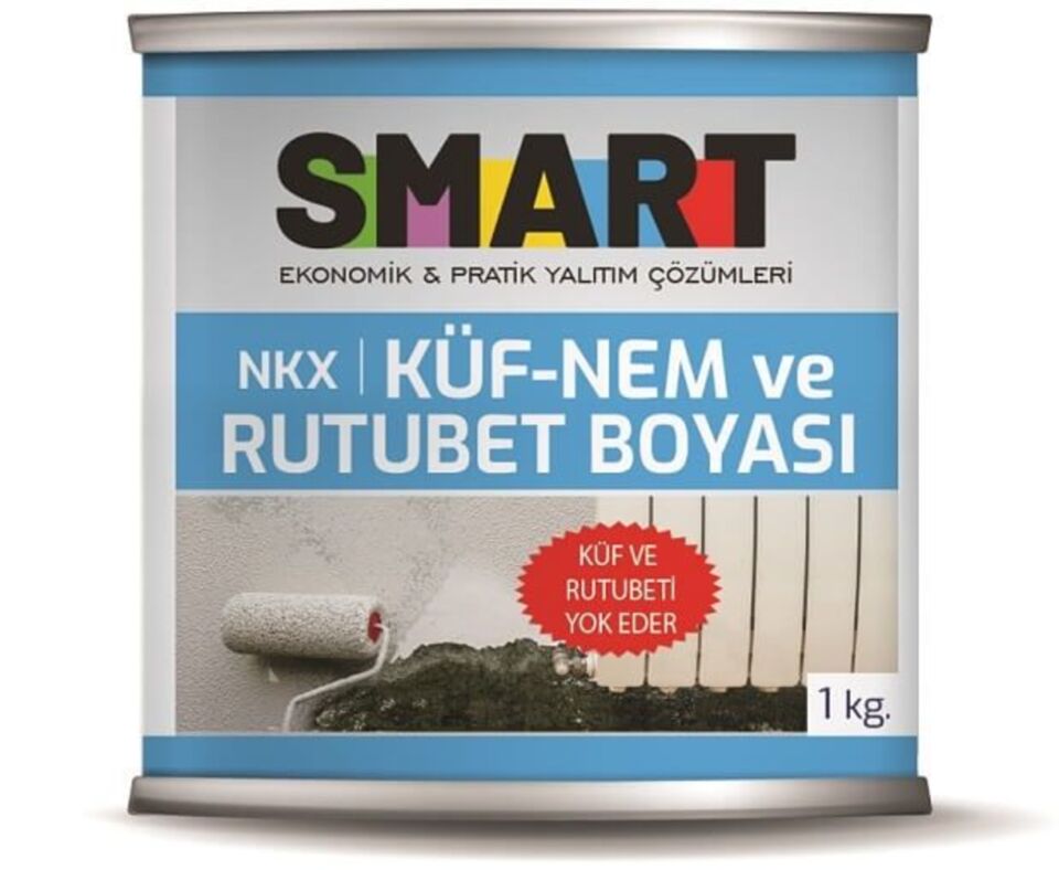 Smart NKX Küf Nem Rutubet Boyası 1 Kg