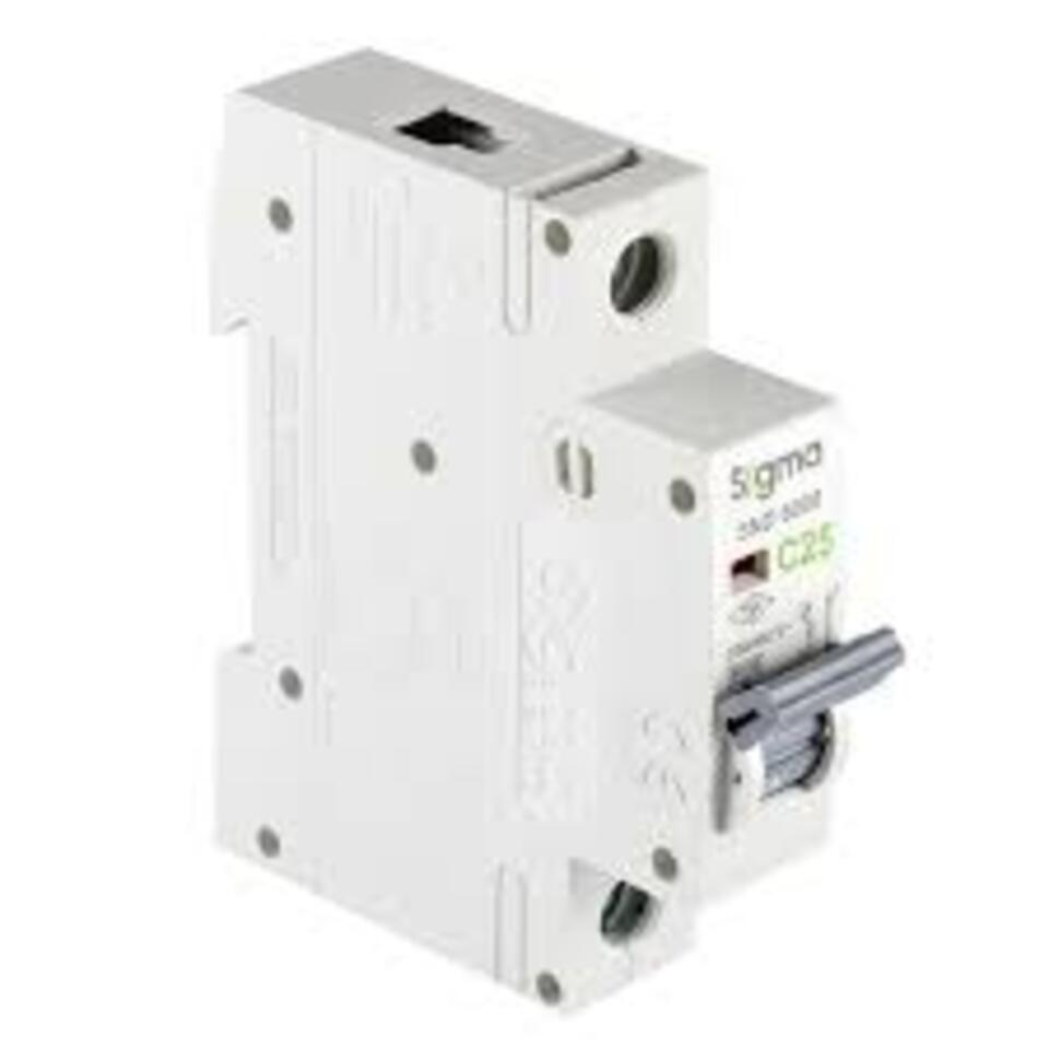 Monofaze Otomatik Sigorta 1p C 25a  6ka (12ad)